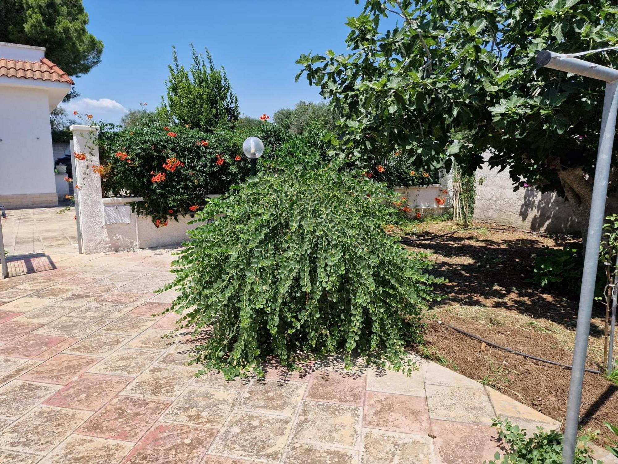 Villa Carmela A サン・ピエトロ・イン・ベヴァーニャ エクステリア 写真